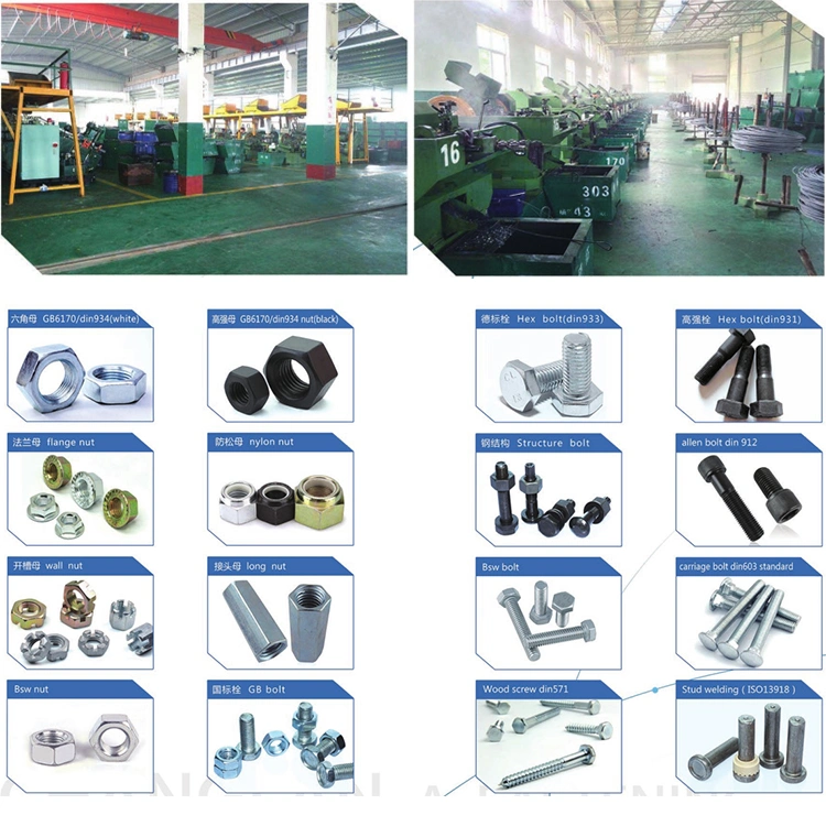 Electro Galvanized Hot DIP Galvanized Black Bolts and Nuts Carbon Steel and Stainless Steel Material Grade 8.8 Fastener