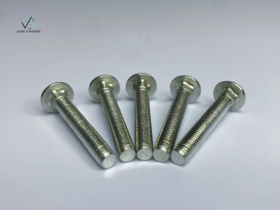 Carriage Bolt M5, 35mm / Stainless Steel 304/ Chinese Supplier Customizer Metric