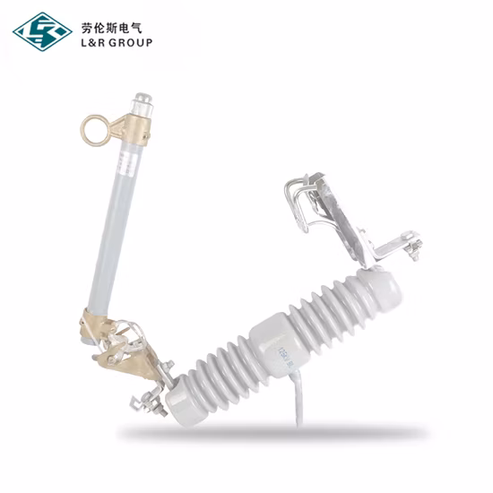 IEC60282-2 11kv Composite Types of Dropout Fuse Cutout Link Switch