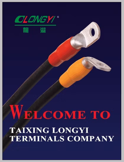 Special Cable Lugs-2 Screw Connector Terminal