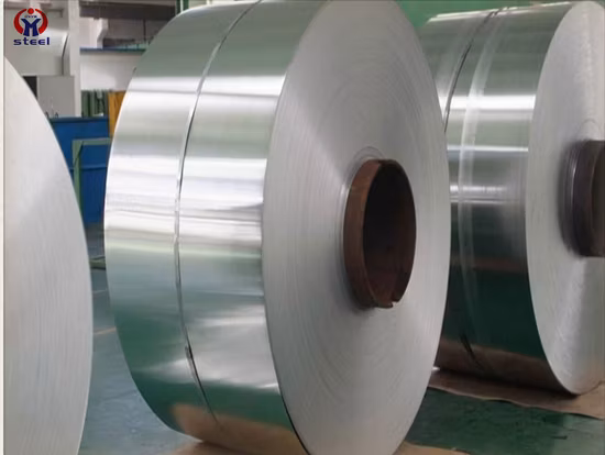 Roofing Steel Material with Coil Strip with The Ss201 304 316 321 430 Building Material